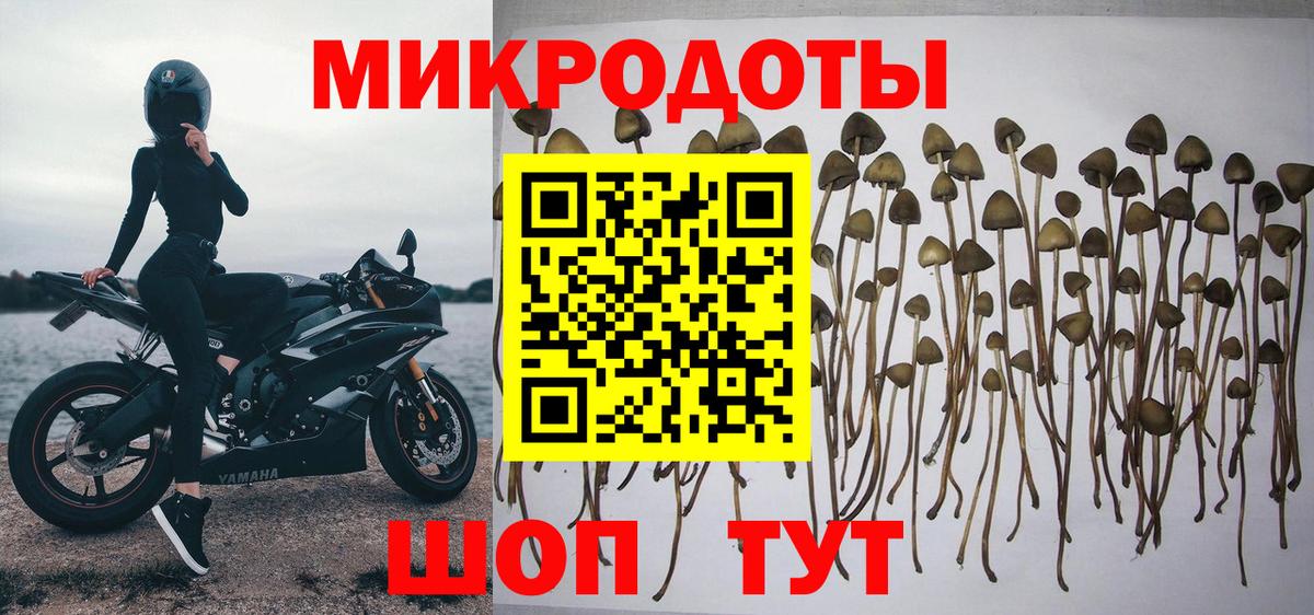 Галлюциногенные грибы Magic Shrooms Кирово-Чепецк